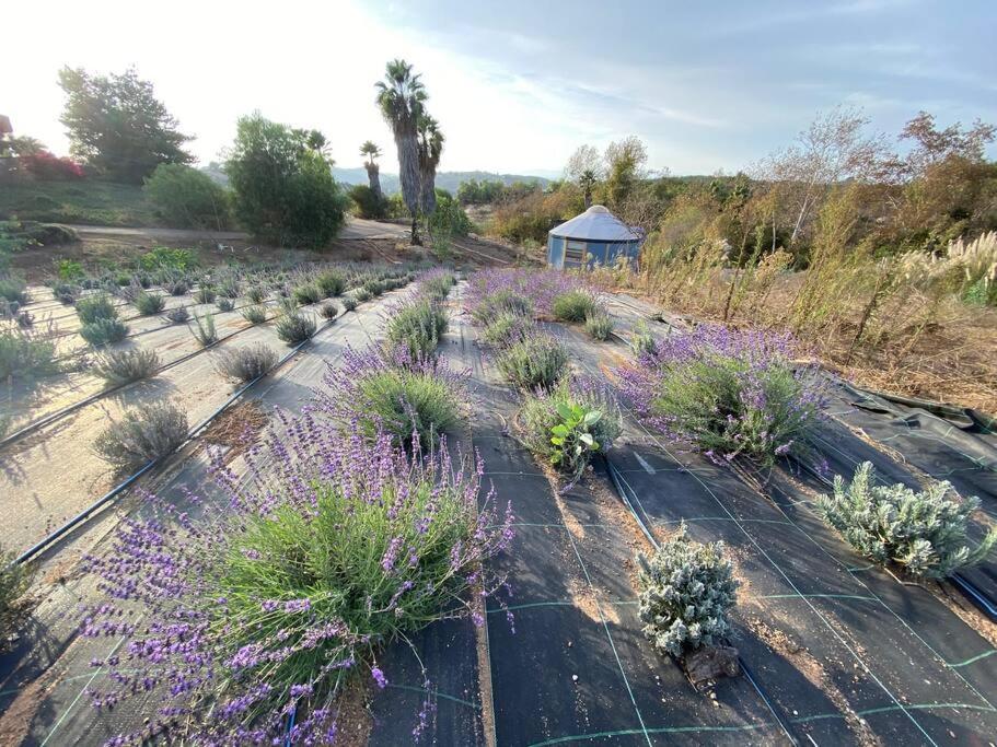 Glamping-Sky Dome Yurt-Tiny House-2 By Lavenders Field Βίλα Valley Center Εξωτερικό φωτογραφία